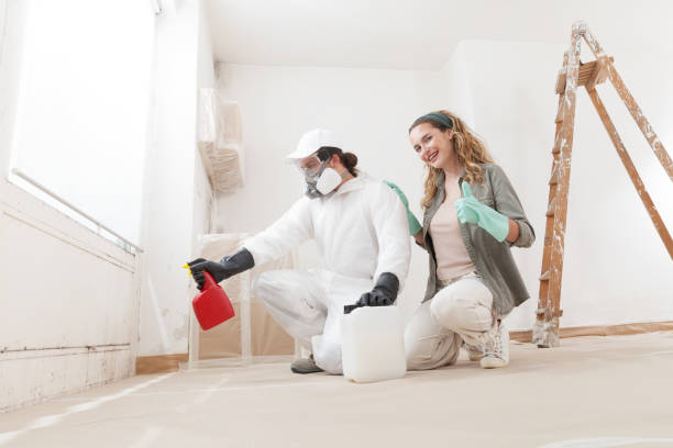 Best Water Damage & Mold Remediation  in Donora, PA